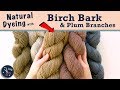 Birch Bark + Plum Branches Dye | Last Minute Laura