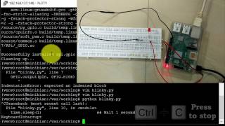 How to access GPIO pins of Raspberry Pi and Blink an LED using python