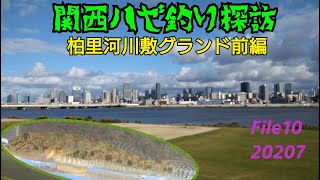 関西ハゼ釣り探訪 File10 淀川右岸柏里河川敷グランド前編 20230730