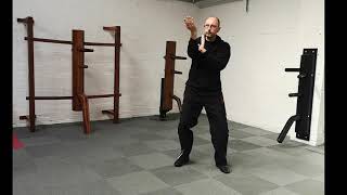 Wing Chun solo drill. Pak sau, Tan punch