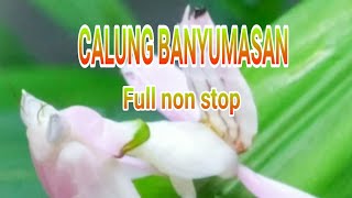 CALUNG BANYUMASAN FULL NON STOP