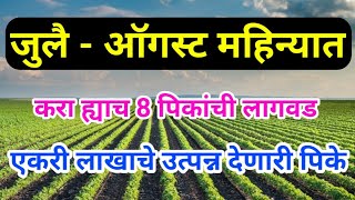 जुलै - ऑगस्ट महिन्यात लाखाचे उत्पन्न मिळवून देणारी 8 पिके July August mahinyat pike जुलै ऑगस्ट पिके