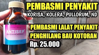 ANTISEP OBAT MURAH PEMBASMI WABAH PENYAKIT || MENGHILANGKAN BAU KOTORAN DAN MENGUSIR LALAT PENYAKIT