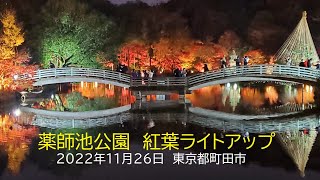 2022年11月26日　町田市　薬師池公園の紅葉ライトアップ