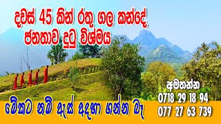 දින 45 කින් රතුගල කන්දේ ගමේ ජනතාව දුටු විශ්මය... ඇස් අදහා ගන්න බෑ || Siwhela TV