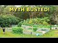 How to Grow a THRIVING Food Garden Surrounded by BIG TREES