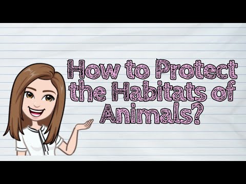 How can we help Habitat loss?
