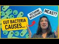 Can Gut Bacteria Cause MCAS & Histamine Intolerance??