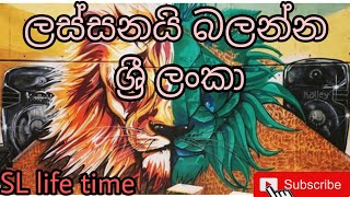 Sri Lankan wall arts (ශ්‍රී ලංකන් ඉතිහාසයේ ධනාත්මක පියවර)