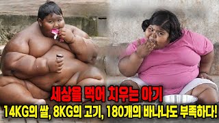 세상을 먹어 치우는 아기: 14kg의 쌀, 8kg의 고기, 180개의 바나나도 부족하다!