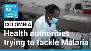 World malaria day: Colombian health authorities trying to tackle the disease • FRANCE 24 English