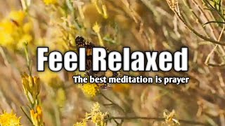 Relaxing Sleep Music | Deep Sleeping Music | Relaxing Music, Stress Relief, Meditation Music