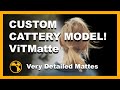 Custom Cattery Model - Create High Detail Mattes With ViTMatte - Nuke