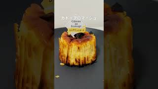 シャトレーゼに新登場！濃厚なめらかチーケーキ「ガトーフロマージュ（280円）」！　#シャトレーゼ #新商品 #スイーツ #ケーキ