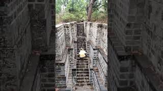 Visit this amazing stepwell at Bramhagiri,Nashik and get to know it's history!#maharashtraunlimited