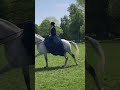 Amazing Ladies Riding Sidesaddle at Royal Windsor Horse Show 2023 #horse #summervibes #equestrian