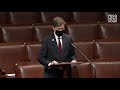 watch rep. stanton says a national covid memorial day would help our country heal