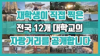 [Ylog] 전국 12개 대학 재학생들이 직접 뽑은 우리학교 자랑거리 (당첨자 발표는 더보기)