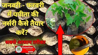 जनवरी - फरवरी में पपीता की नर्सरी कैसे तैयार करें #papayafarming #nursery @Rajasthanagrotech