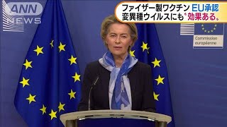 EUがファイザー製ワクチン承認　変異種にも効果(2020年12月22日)