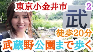 【武蔵小金井駅】から武蔵野公園まで歩く！20分【東京小金井市】２