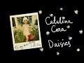 Catalina Cara - Daisies 🌸 Official Visualizer 🌸