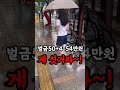 오토바이 이렇게 운전하면 과태료 폭탄 위법 불법 황당 서프라이즈 위반 kculture 세상에나