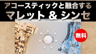 【期間限定無料】マレットと最先端のシンセを融合した音源Arturia「Augmented MALLETS Play」無償配布！