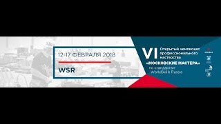 VI ОЧМ WorldSkills Junior компетенция «Кузовной ремонт»