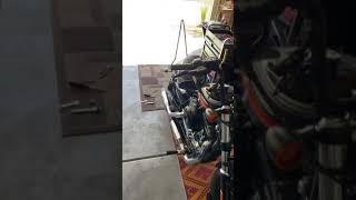 Edward Richie Sissy Bar (Pros and Cons)