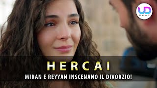 Anticipazioni Hercai, Puntate Turche: Miran E Reyyan Inscenano Il Divorzio!