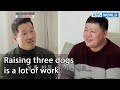 Raising three dogs is a lot of work (Dogs are incredible EP.115-7) | KBS WORLD TV 220329