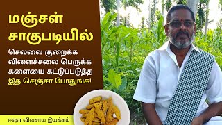 மஞ்சள் சாகுபடியில் செலவை குறைக்க விளைச்சலை பெருக்க களையை கட்டுப்படுத்த இத செஞ்சா போதுங்க!