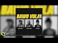 Sfarzo Rtee, Kelvin Momo, Makhanj - Bawo Vula Remix (Official Audio)