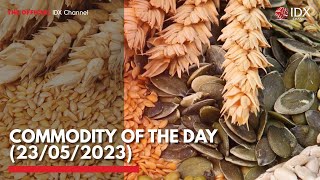 Commodity of the Day (23/05/2023) | IDX CHANNEL