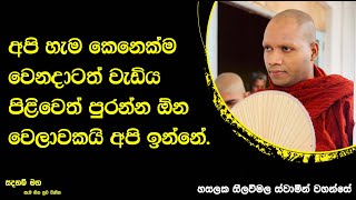 හැම කෙනෙක්ම වෙනදාටත් වැඩිය පිළිවෙත් පුරන්න ඕන වෙලාවකයි ඉන්නේ.2396Ven Hasalaka Seelawimala Thero