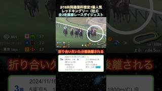 【レッドキングリー】共同通信杯想定1番人気！全2走ダイジェスト  #競馬  #レッドキングリー  #共同通信杯  #shorts