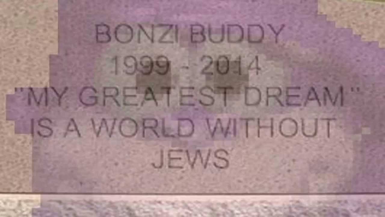 Vinesauce Joel Windows Xp Destruction At Andrew Briones Blog