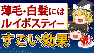 【薄毛・白髪対策】ルイボスティーのすごい効果と意外なデメリット【ゆっくり解説】