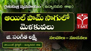 ఆయిల్ పామ్ సాగులో మెళకువలు | సలహాలు - సూచనలు  | జి. సంగీత లక్ష్మి , జాయింట్ డైరెక్టర్, ఉద్యానవన శాఖ