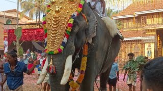 മുതുവറ കൂട്ടിയെഴുന്നള്ളിപ്പിന് വരുന്ന ചന്ദ്രശേഖരൻ,ദേവീദാസൻ,മുള്ളത്ത് വിജയകൃഷ്ണൻ,മച്ചാട് ധർമൻ \u0026ഗോപാലൻ