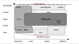 Waldzusammensetzung in Bezug auf Feuchtigkeit und pH-Wert (nach Ellenberg)