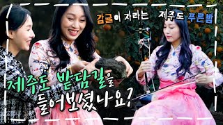 [전주MBC 4K특집 다큐멘터리 - 두근두근팜팜] 코로나 끝나면 #제주도 #밭담길 여행 어떠세요?👀