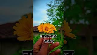 নামাজের গুরুত্ব।#islamik #ট্রেন্ডিং #ইসলামিক_ভিডিও #আমল_ও_দোয়া #like #sucribetealcanal#ট্রেন্ডিং