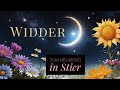 Widder ♈️ Die Chance, deine Erfüllung zu finden und dich selbst zu entfalten. Neue Türen öffnen sich