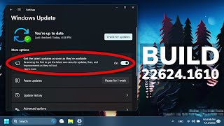 New Windows 11 Build 22624.1610 – New Windows Update Option, New Presence Sensing Feature (Beta)