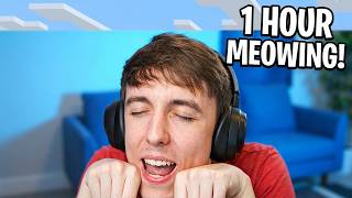DrDonut Meows for 1 HOUR Straight