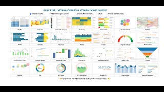[Webinar] Vitaracharts - 30+ New Charts for Microstrategy