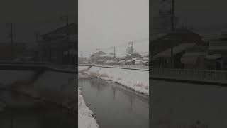 ウェザーリポート動画0124「大雪で夕日見えず」@鳥取市　16時48分頃