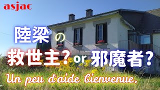 【フランス古民家再生】#79 やっと古民家再生ぽくなって来た‼陸梁の助っ人/フランス夫の驚きの料理 Un peu d'aide bienvenue.#フランス #古民家再生 #国際結婚 #日仏夫婦